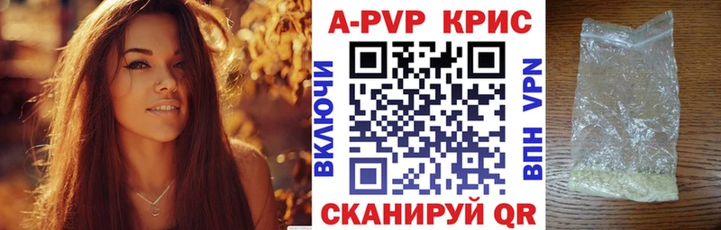 Альфа ПВП СК КРИС  Западная Двина 