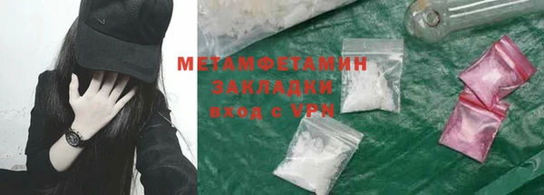 гидра Вязьма