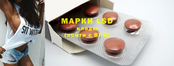 гидра Вязьма