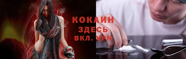 гидра Вязьма