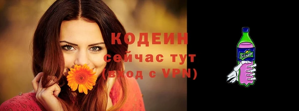 прущие грибы Краснотурьинск