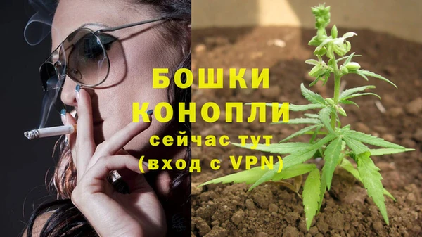 дурь Горнозаводск