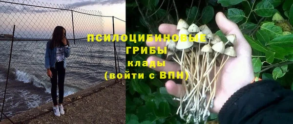 гидра Вязьма