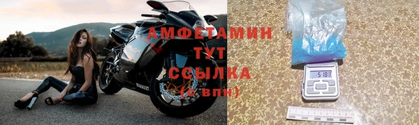 гидра Вязьма
