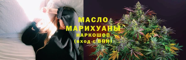 гидра Вязьма