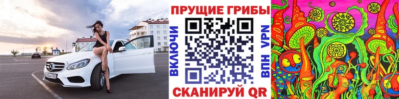 Галлюциногенные грибы Psilocybine cubensis  кракен как войти  Западная Двина 